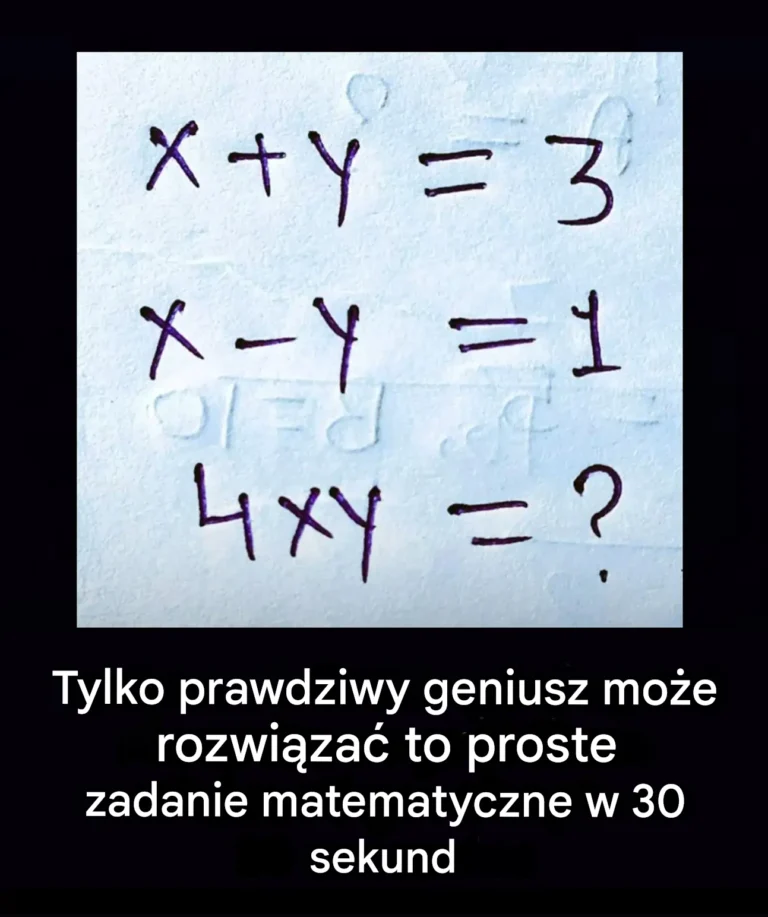 Tylko_geniusz_matematyki_m_g_by_rozwi_za__ten_problem_w_30_sekund_lub_kr_cej_