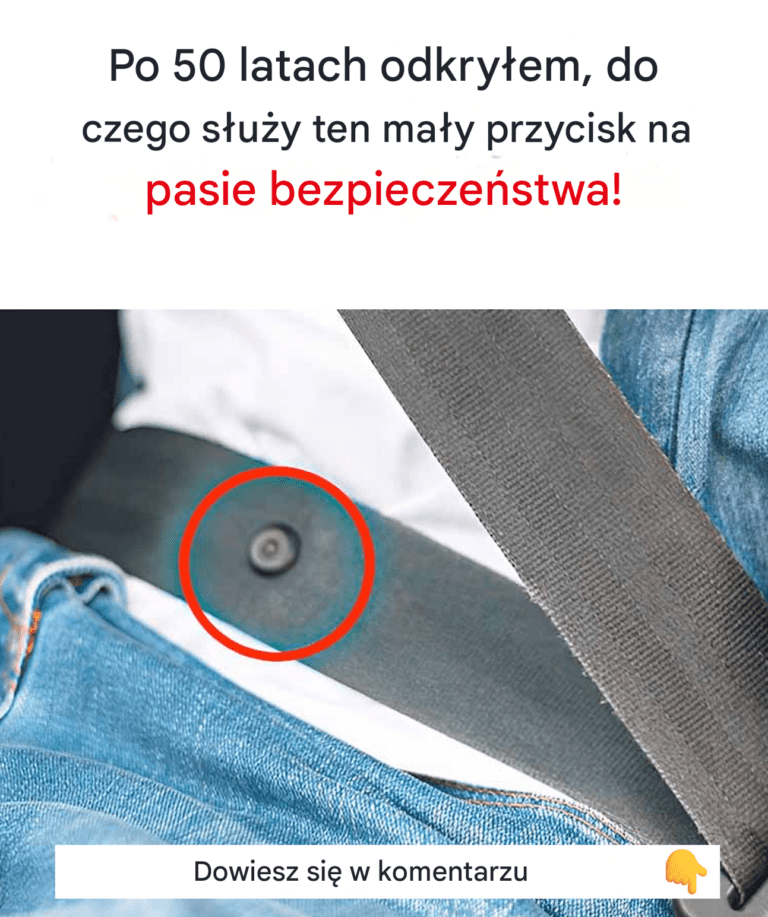 W_a_nie_do_tego_s_u_y_ma_y_przycisk_na_pasach_bezpiecze_stwa_