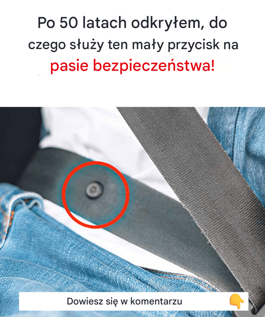 W_a_nie_do_tego_s_u_y_ma_y_przycisk_na_pasach_bezpiecze_stwa_ W_a_nie_do_tego_s_u_y_ma_y_przycisk_na_pasach_bezpiecze_stwa_