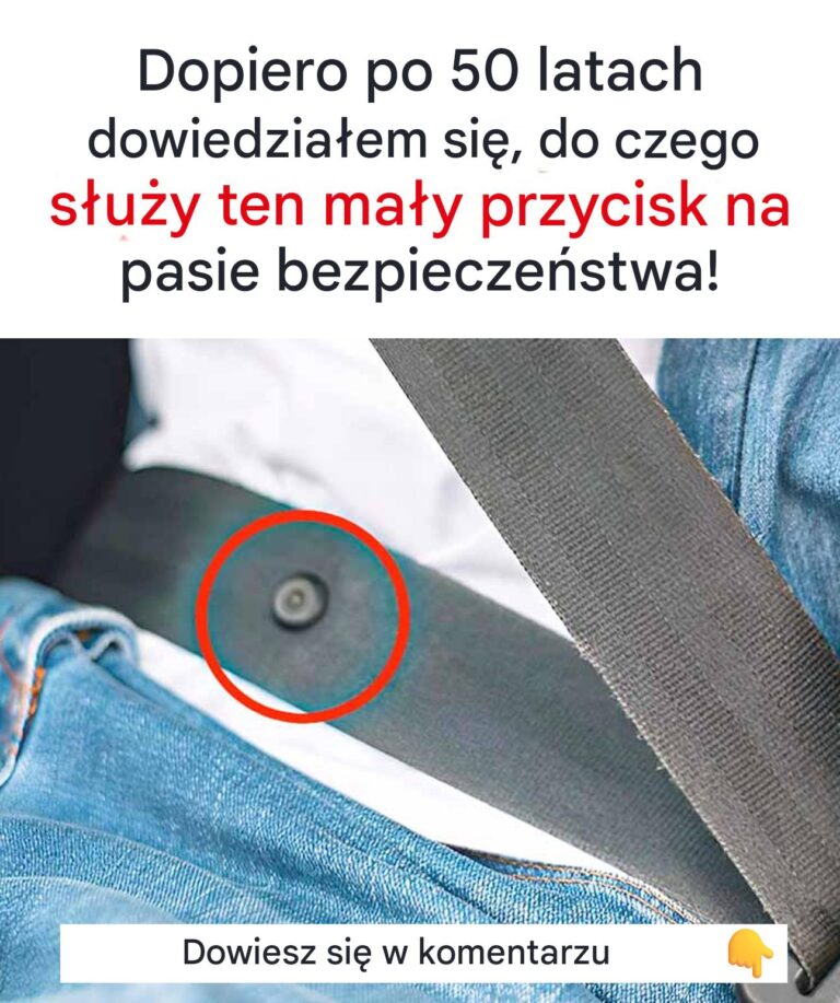 W_a_nie_do_tego_s_u_y_ten_ma_y_przycisk_na_pasach_bezpiecze_stwa_