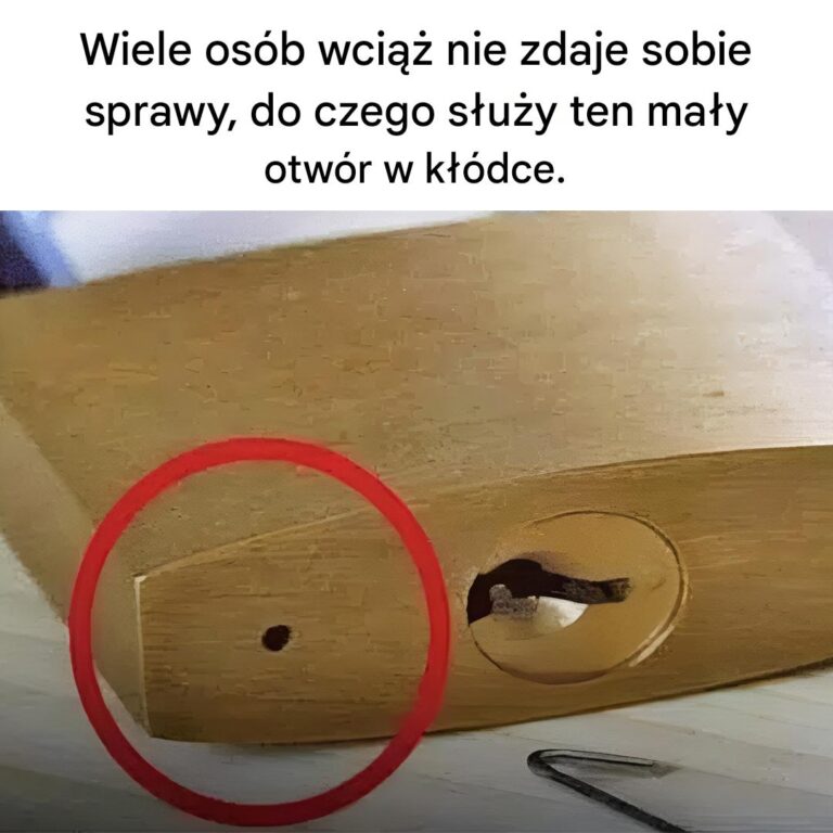Zagadka_rozwi_zana__ujawniono_cel_ma_ego_otworu_w_k__dkach