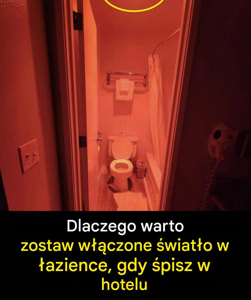 Zostaw_zapalone__wiat_o_w__azience_w_hotelu__Tw_j_tajny_nocny_sprzymierzeniec Zostaw_zapalone__wiat_o_w__azience_w_hotelu__Tw_j_tajny_nocny_sprzymierzeniec