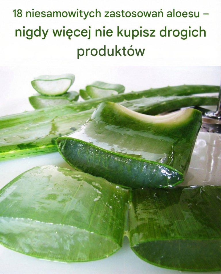 18_niesamowitych_zastosowa__aloesu___nigdy_wi_cej_nie_kupisz_drogich_produkt_w_