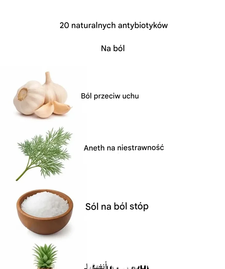20_naturalnych__rodk_w_przeciwb_lowych