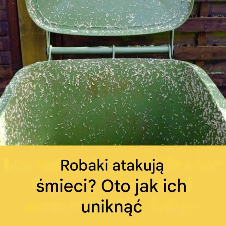 4_skuteczne_wskaz_wki__jak_pozby__si__robak_w_z_zewn_trznego_kosza_na__mieci-1