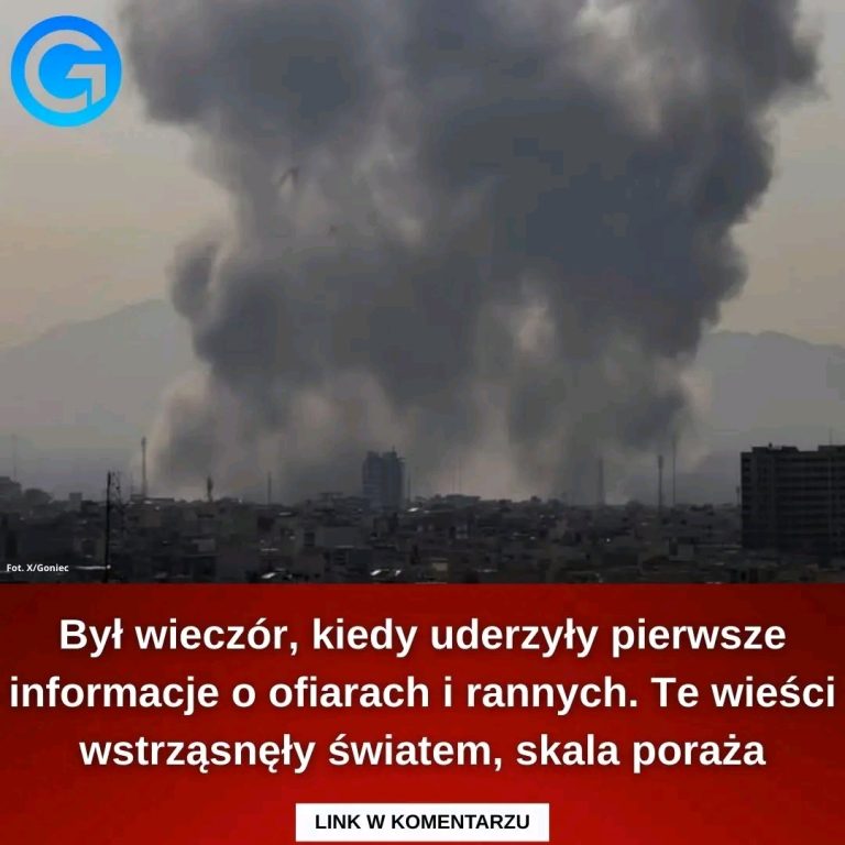 Bilans_ofiar_wci___ro_nie__8230_