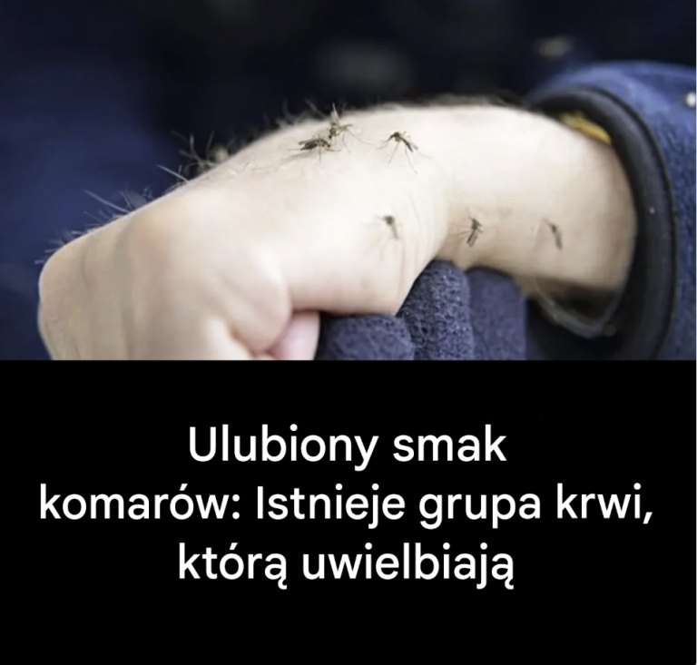 Dlaczego_komary_gryz__niekt_rych_ludzi_bardziej_ni__innych_