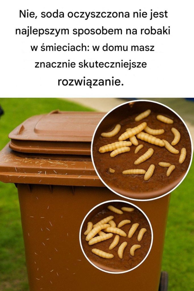 Dlaczego_soda_oczyszczona_nie_jest_najlepszym_rozwi_zaniem_na_robaki_w__mieciach___wypr_buj_to_zamiast_tego Dlaczego_soda_oczyszczona_nie_jest_najlepszym_rozwi_zaniem_na_robaki_w__mieciach___wypr_buj_to_zamiast_tego