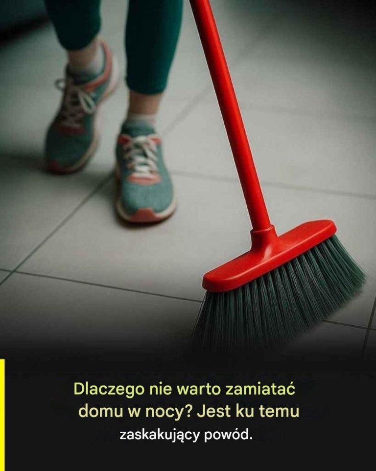Dlatego_nie_nale_y_sprz_ta__wieczorem