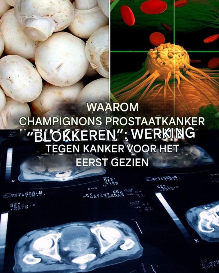 Grzyby_i_rak_prostaty__odkryto_dzia_anie_immunomoduluj_ce