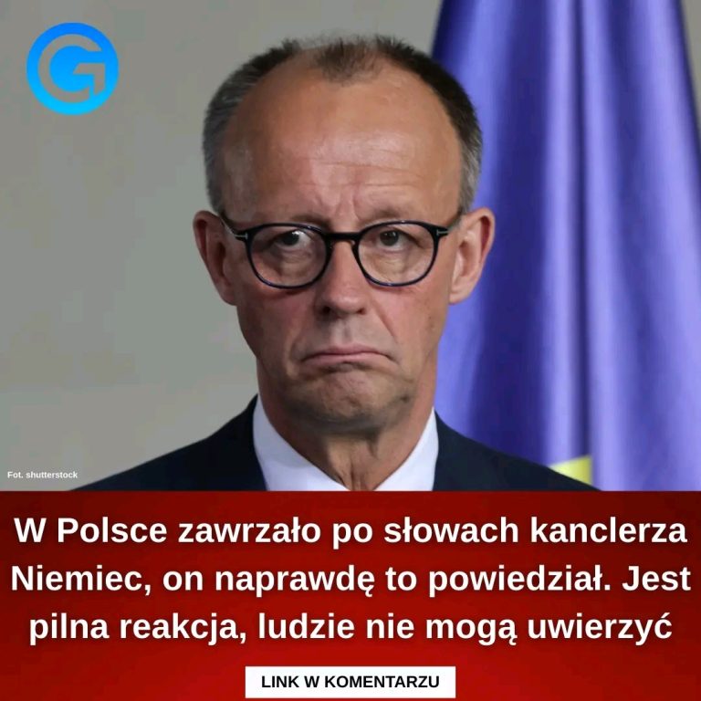 I_t_umaczenie___e___8220_niczego_nie_wymaza___po_prostu_si__pomyli___8221_-1