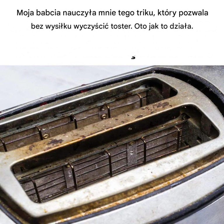 Jak_bez_wysi_ku_wyczy_ci__toster_