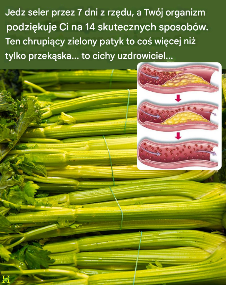 Je_li_b_dziesz_je___seler_codziennie_przez_tydzie___Twoje_cia_o_mo_e_zyska__14_korzy_ci_zdrowotnych