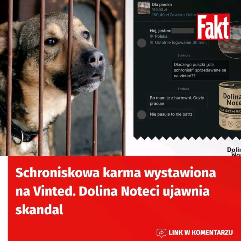 Karma_dla_schronisk_na_Vinted__Dolina_Noteci_ujawnia_niepokoj_ce_szczeg__y_dotycz_ce_sprzeda_y_dar_w_przeznaczonych_dla_bezdomnych_zwierz_t_