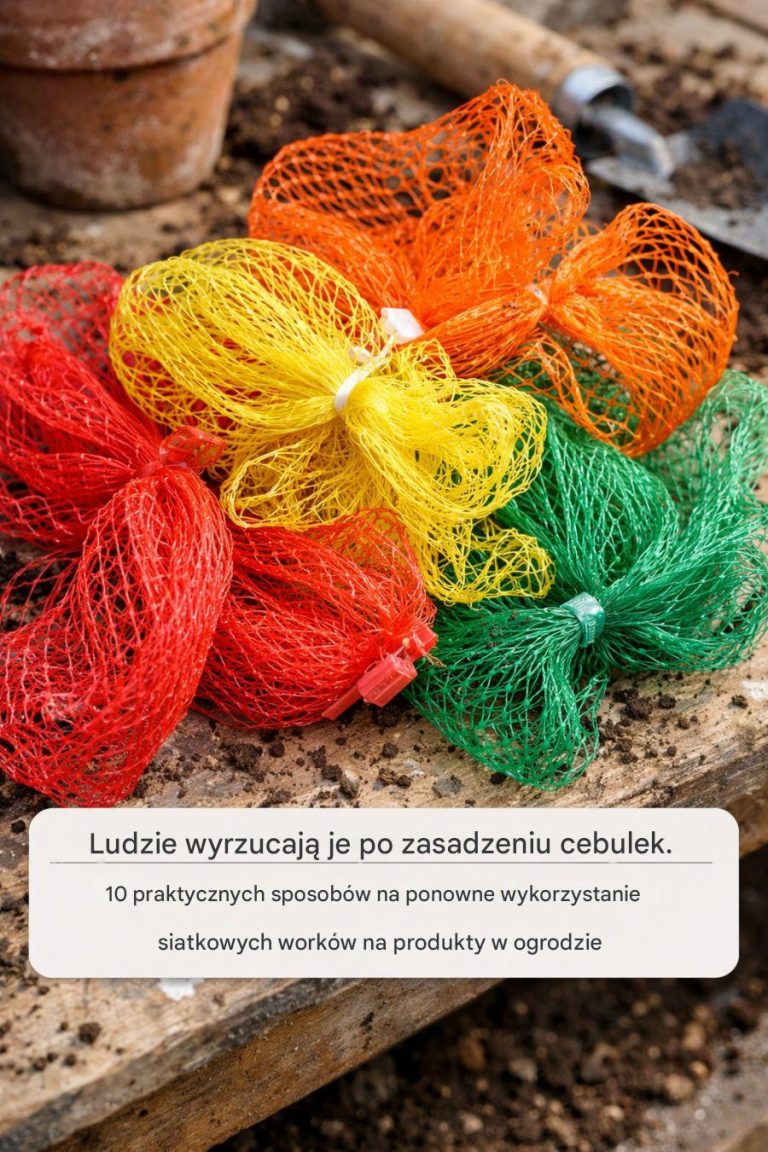 Ludzie_wyrzucaj__je_po_posadzeniu_cebulek__10_praktycznych_sposob_w_na_ponowne_wykorzystanie_siatkowych_work_w_na_produkty_w_ogrodzie