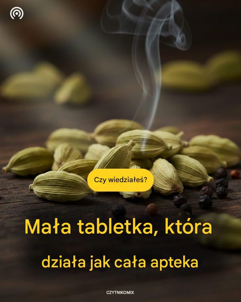 Ma_a_pigu_ka_wielko_ci_ca_ej_apteki