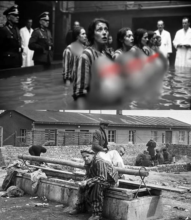 Milczenie_w_Szampanii__Dziedzictwo_Punktu_Medycznego_nr_23_12_lutego_1943_roku