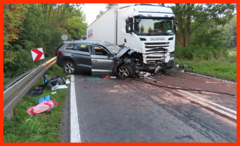 NIE__YJE_MATKA__OJCIEC_I_DW_JKA_DZIECI_WALCZ__O__YCIE___TRAGEDIA_NA_DOLNYM__L_SKU