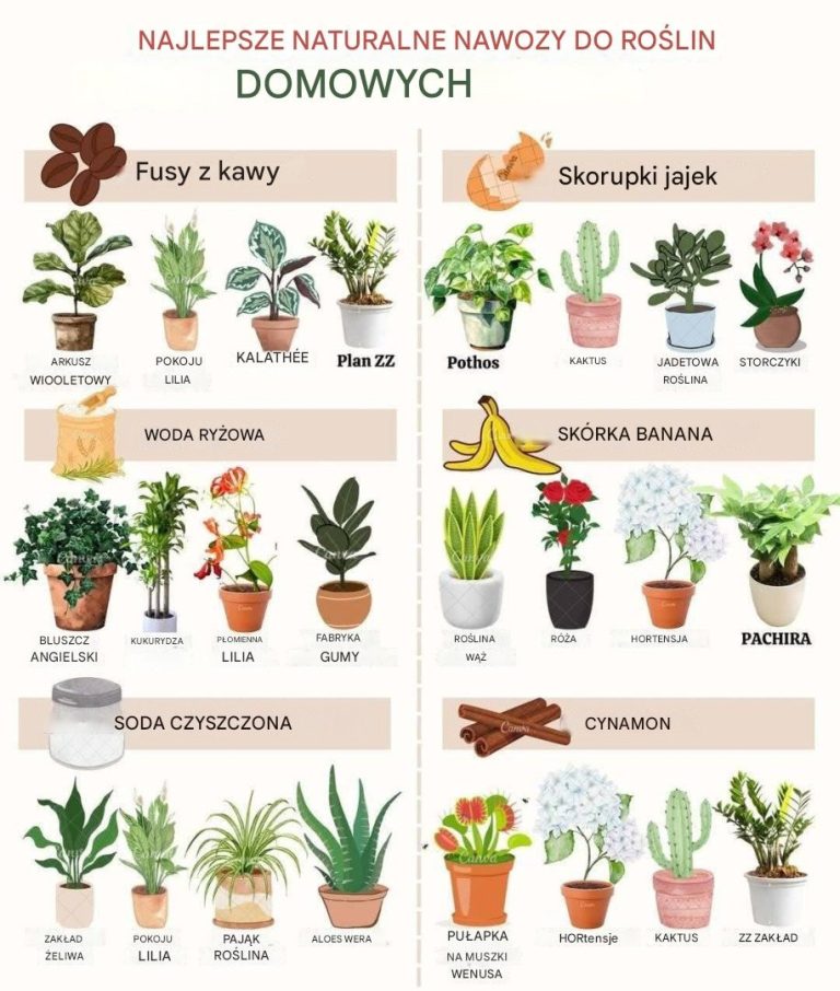 Najlepsze_naturalne_nawozy_dla_ro_lin_domowych-1