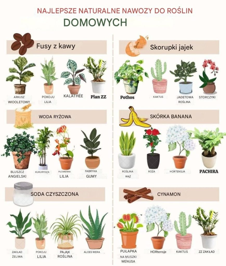 Najlepsze_naturalne_nawozy_dla_ro_lin_domowych-1 Najlepsze_naturalne_nawozy_dla_ro_lin_domowych-1