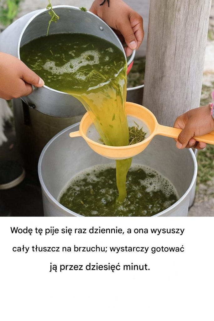 Naturalny_sok_pe_en_korzy_ci Naturalny_sok_pe_en_korzy_ci