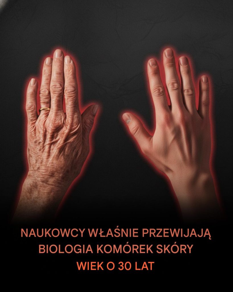 Naukowcom_uda_o_si__sprawi____e_50_letnie_kom_rki_sk_ry_zn_w_zachowuj__si__tak__jakby_mia_y_20_lat_ Naukowcom_uda_o_si__sprawi____e_50_letnie_kom_rki_sk_ry_zn_w_zachowuj__si__tak__jakby_mia_y_20_lat_