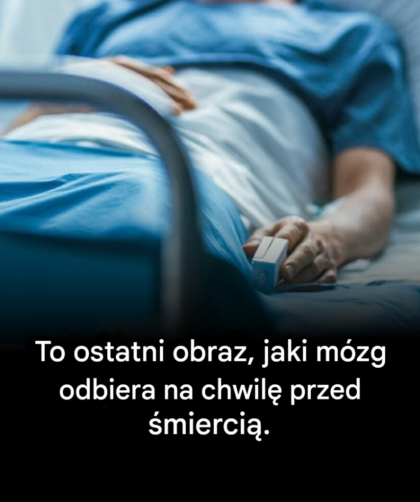 Neurolodzy_ujawniaj__prawd___to_ostatni_obraz__jaki_m_zg_odbiera_przed__mierci___Czytaj_wi_cej Neurolodzy_ujawniaj__prawd___to_ostatni_obraz__jaki_m_zg_odbiera_przed__mierci___Czytaj_wi_cej