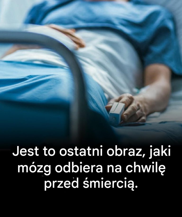 Neurolodzy_ujawniaj__prawd___to_ostatni_obraz__jaki_m_zg_odbiera_przed__mierci___Zobacz_wi_cej