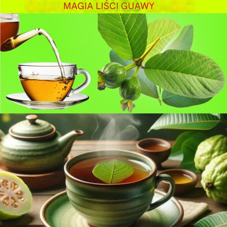 Niesamowite_zalety_li_ci_guawy___11_powod_w__dla_kt_rych_warto_pi__herbat__z_li_ci_guawy_