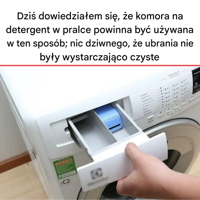 Okazuje_si____e_przez_ca_y_czas_u_ywa_em_go_w_niew_a_ciwy_spos_b_