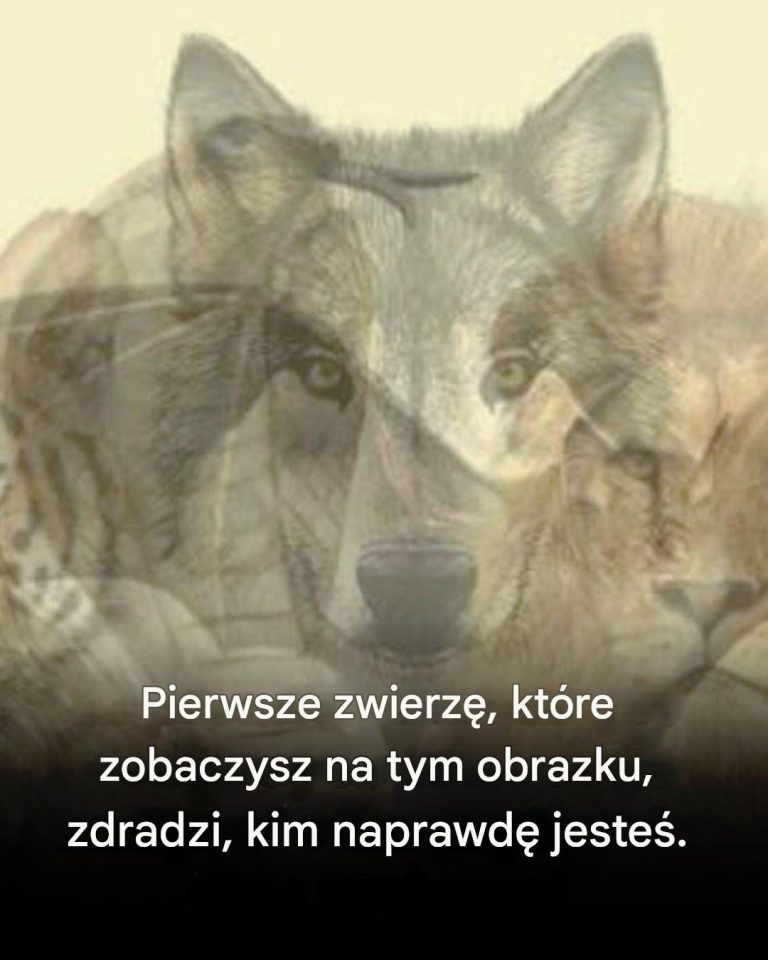 Pierwsze_zwierz___kt_re_zobaczysz_na_tym_obrazku__zdradzi__kim_jeste___przeczytaj_wi_cej_w_pierwszym_komentarzu