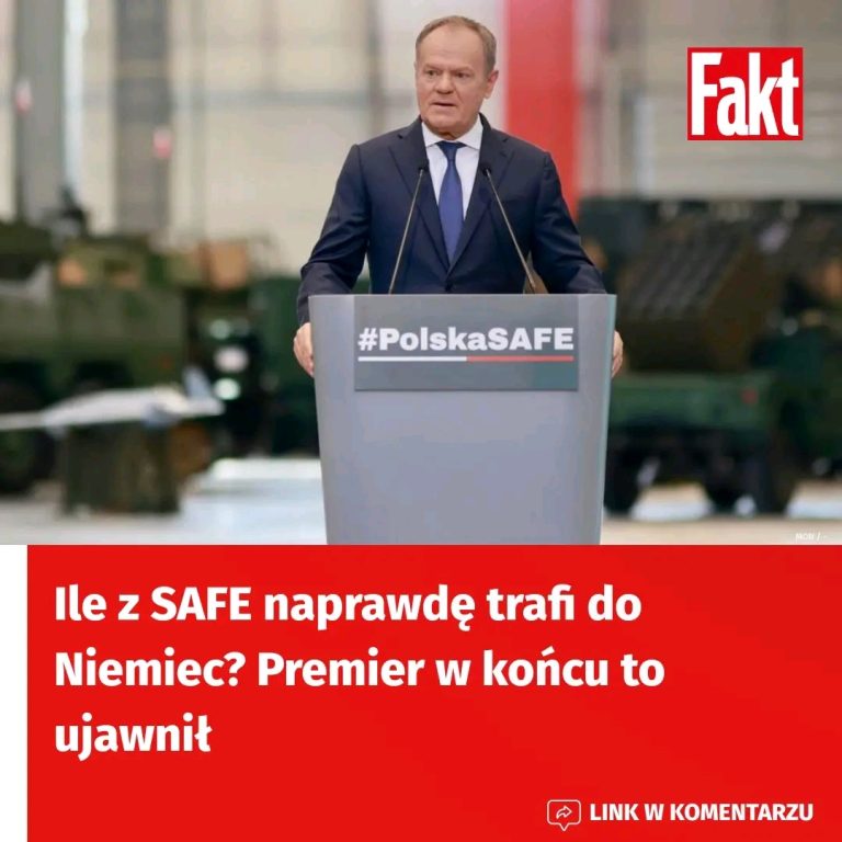 Premier_Tusk_ujawnia__ile_z_miliard_w_SAFE_trafi_do_Niemiec__Czy_polska_suwerenno___jest_zagro_ona__Poznaj_szczeg__y_podzia_u_funduszy_
