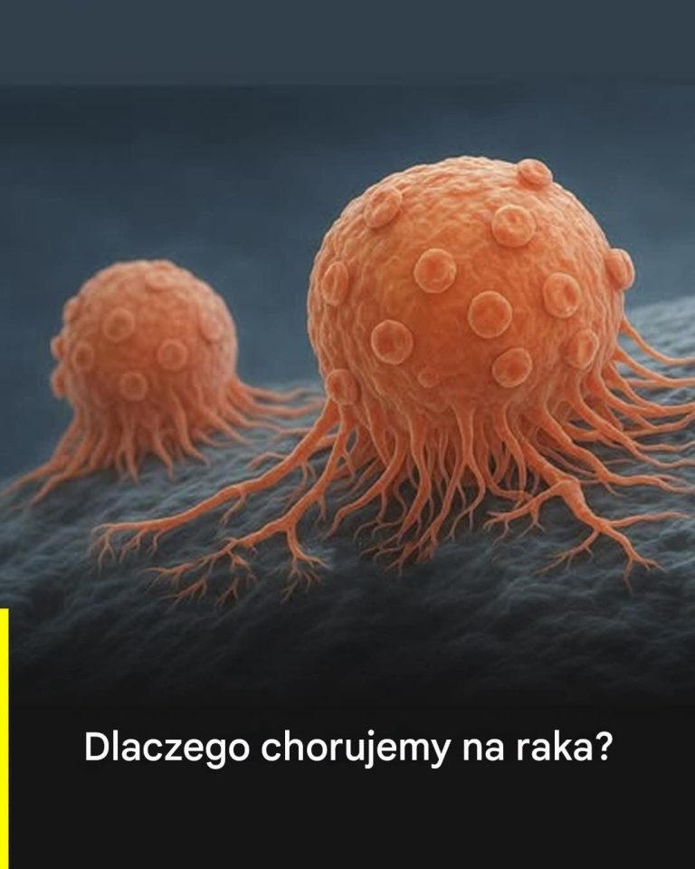 Rak__Zrozumienie_jego_pochodzenia_i_rozpoznanie_objaw_w__kt_re_mog__Ci__zaalarmowa_