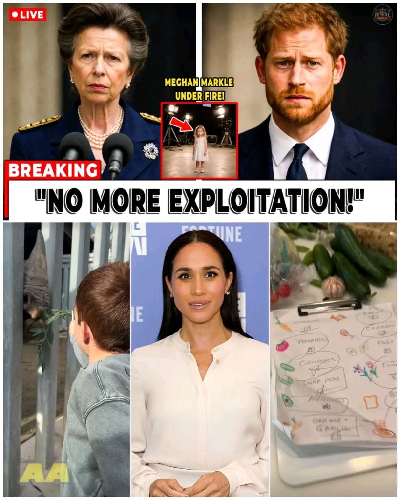 The_Great_Royal_Schism__Did_the_S_ssexes_J_mp__or_Were_They_P_shed____Sake