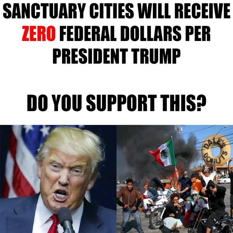Trump_s_Sanctuary_City_Crackdown__The_Plan_to_Restore_Law__Order__and_Accountability