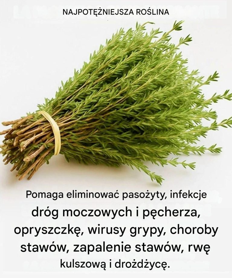 Tymianek__ma_a_ro_lina__ale__wietny__rodek_leczniczy__naturalnie_chroni_organizm_przed_wirusami__zarazkami_i_infekcjami_
