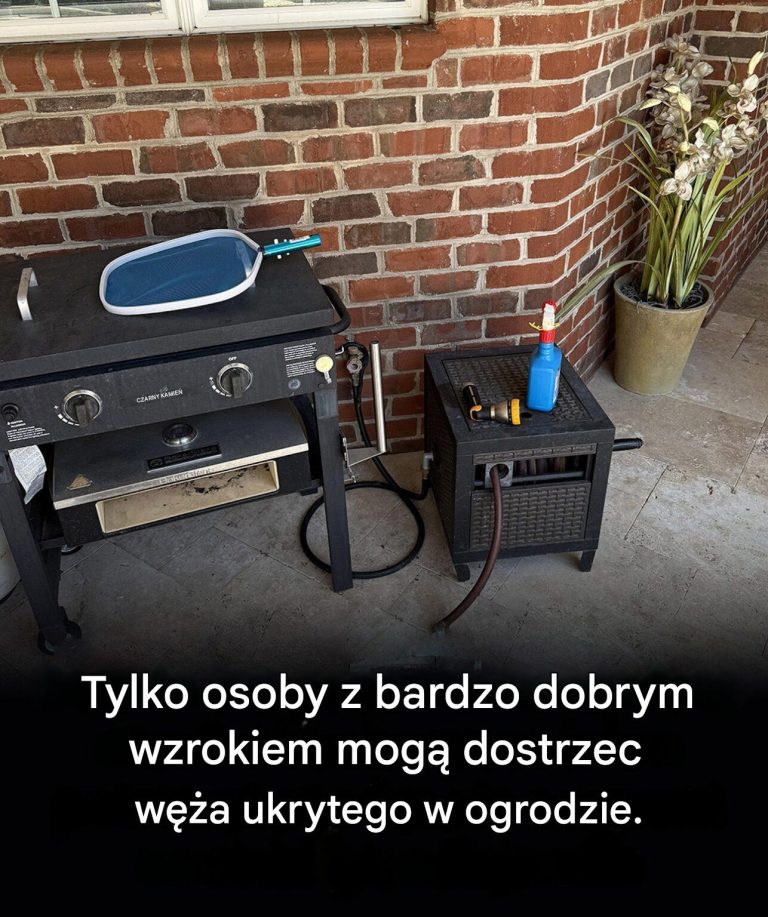 W___ukrywa_si__na__cianie_domu____Je_li_znajdziesz_go_w_5_sekund__b_dziesz_mia__wzrok_jastrz_bia_