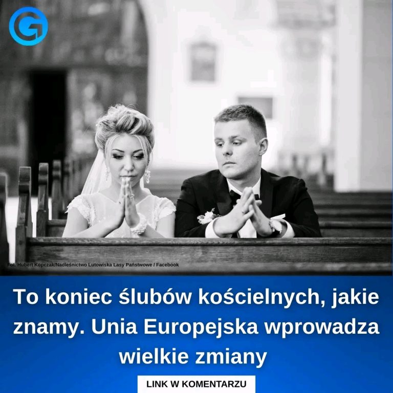 Wszystko_w_r_kach_Sejmu-1