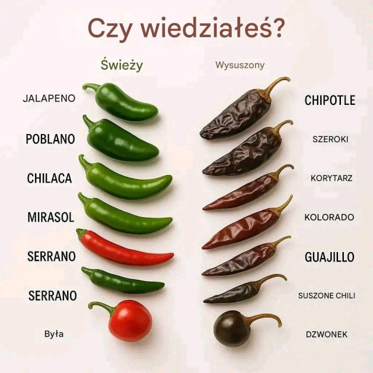 wie_e_czy_suszone__Dlaczego_to_zmienia_wszystko_