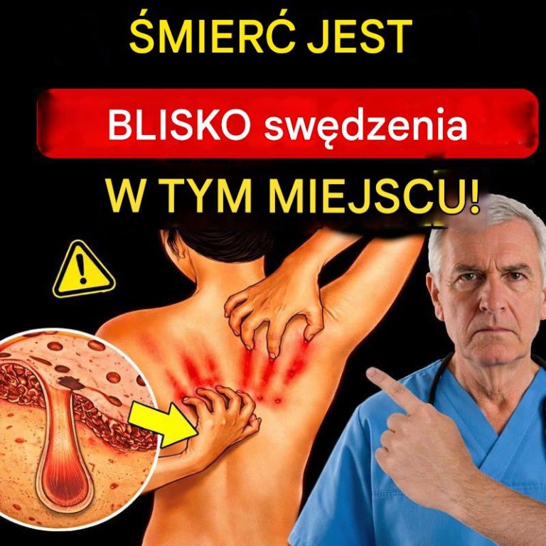 3_obszary_cia_a__kt_re_sw_dz___sygna__ostrzegawczy_informuj_cy_o_zagro_eniach_dla__ycia_i_skr_ceniu_oczekiwanej_d_ugo_ci__ycia_-1
