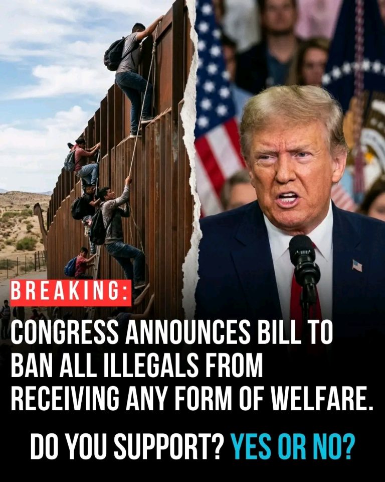 BREAKING__Congress_Moves_to_Cut_Off_Welfare_Benefits_for_Illegal_Immigrants___A_Major_Policy_Shift_