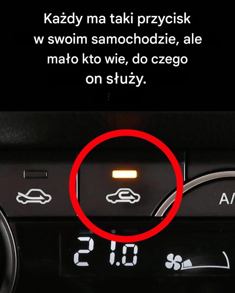 Czy_s_u_y_ten_przycisk_w_kuchni_ Czy_s_u_y_ten_przycisk_w_kuchni_