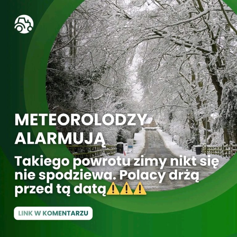 Fatalne_wie_ci_dla_Polak_w__Lada_moment_powr_ci_zima_i_to_z_pot__n__si____Wskazano_dat__Czytaj_wi_cej_