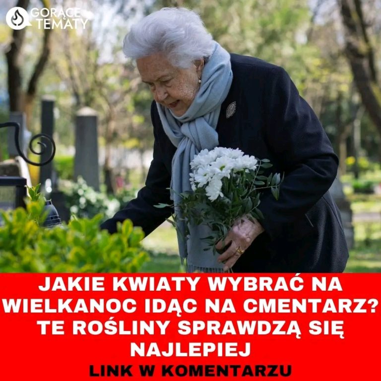 Jakie_kwiaty_wybra__na_Wielkanoc_id_c_na_cmentarz__Te_ro_liny_sprawdz__si__najlepiej_Czytaj_wi_cej_
