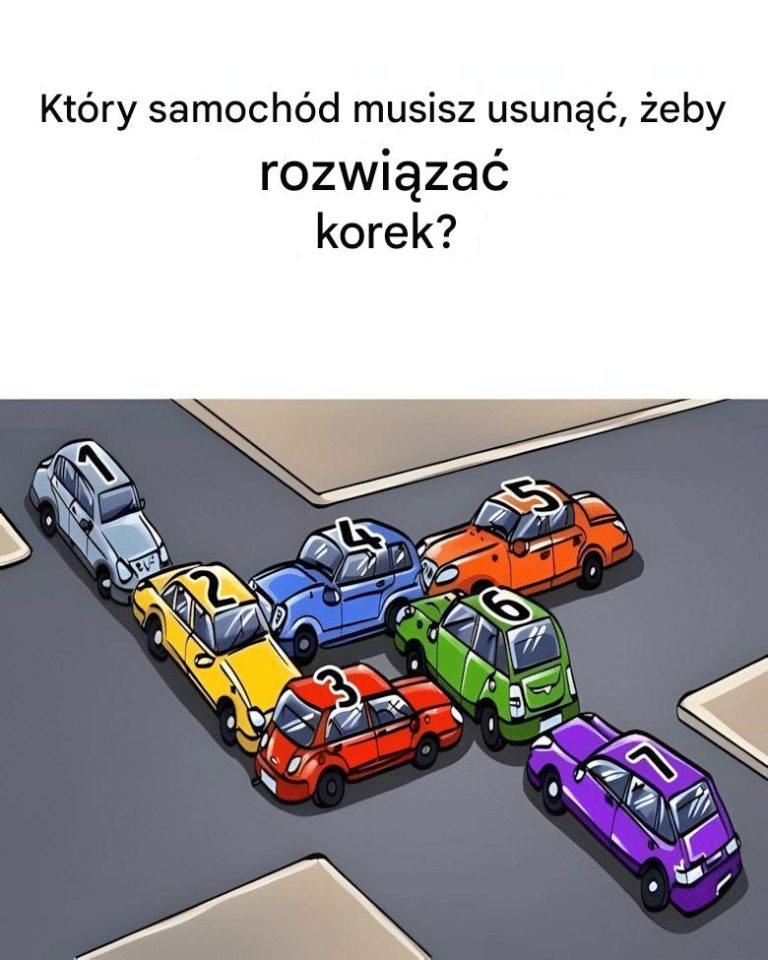 Kt_ry_samoch_d_musisz_usun_____eby_rozwi_za__korek_-1