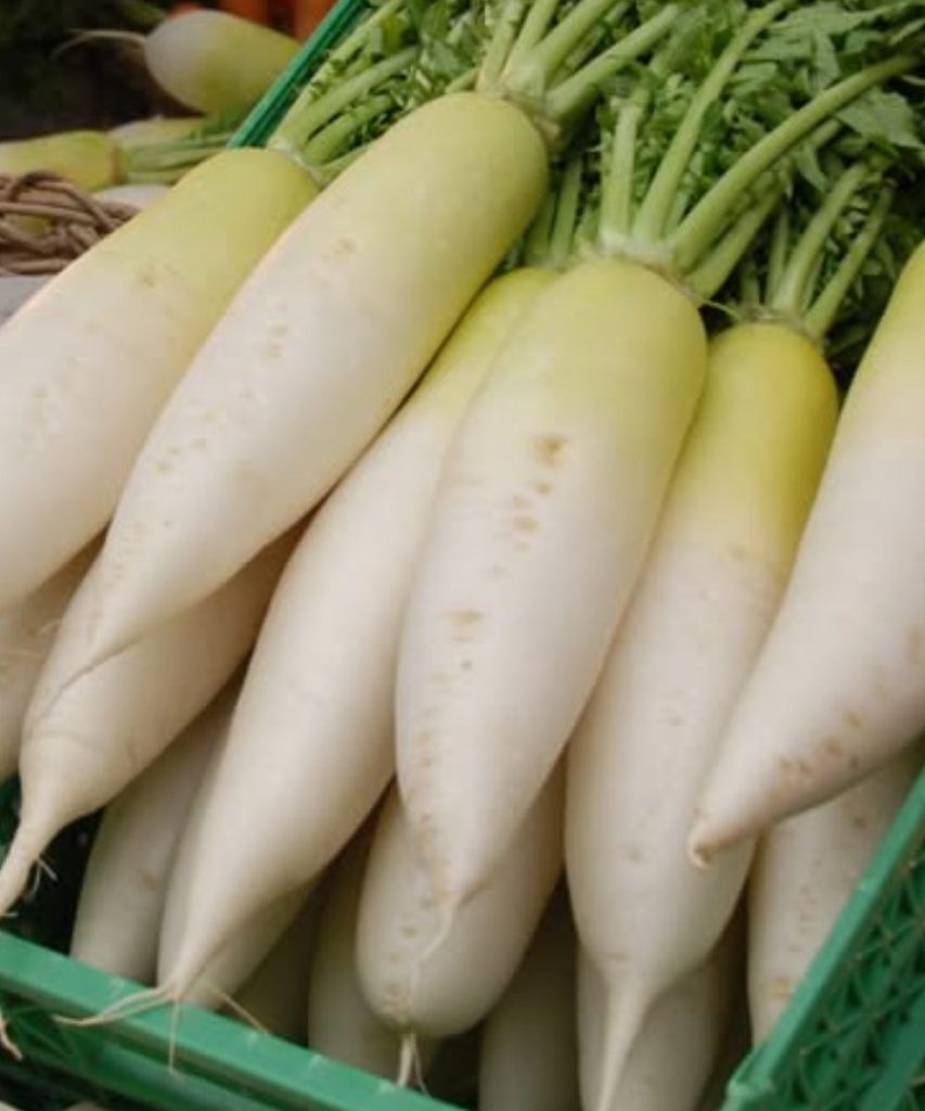 Lekarze_ujawniaj____e_spo_ywanie_bia_ej_rzodkwi__daikon__powoduje_
