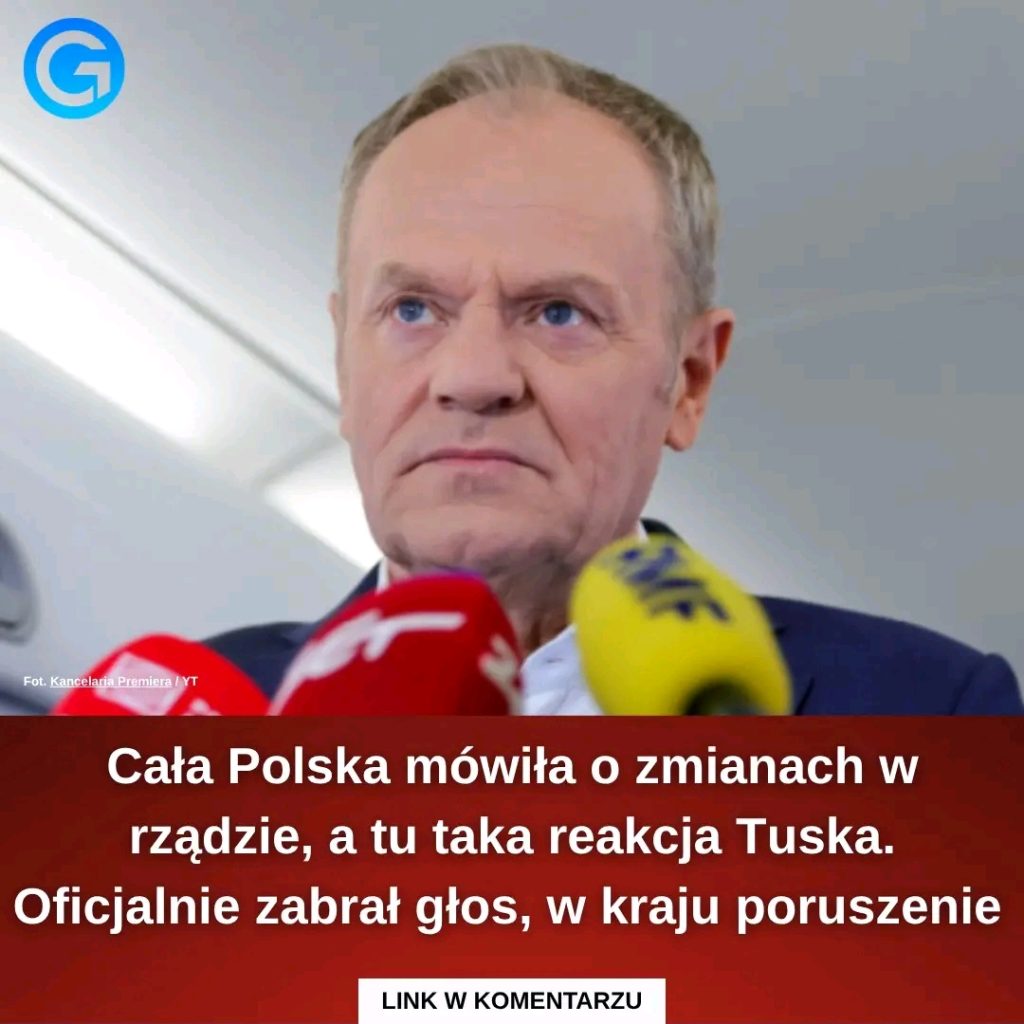Nagle_wsta__i_zabra__g_os Nagle_wsta__i_zabra__g_os