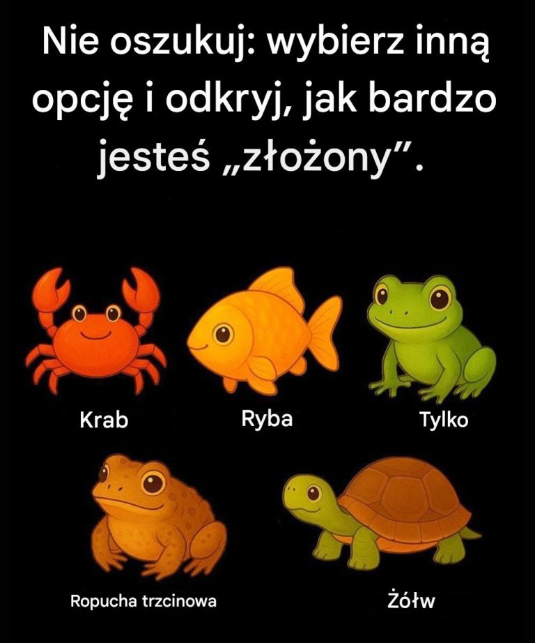 Nie_oszukuj__wybierz_inn__opcj__i_odkryj__jak_bardzo_jeste___z_o_ony__-2