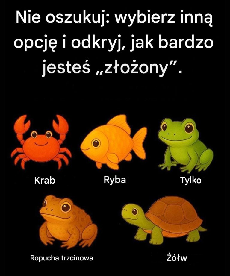Nie_oszukuj__wybierz_inn__opcj__i_odkryj__jak_bardzo_jeste___z_o_ony__
