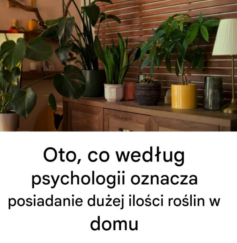 Oto__co_wed_ug_psychologii_oznacza_posiadanie_du_ej_ilo_ci_ro_lin_w_domu_-1